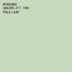 #C8D9BE - Pale Leaf Color Image